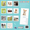 Love of Dogs 2025 Mini Calendar
