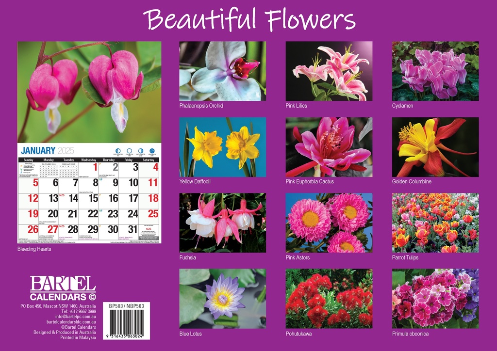 Big Print Beautiful Flowers 2025 Calendar
