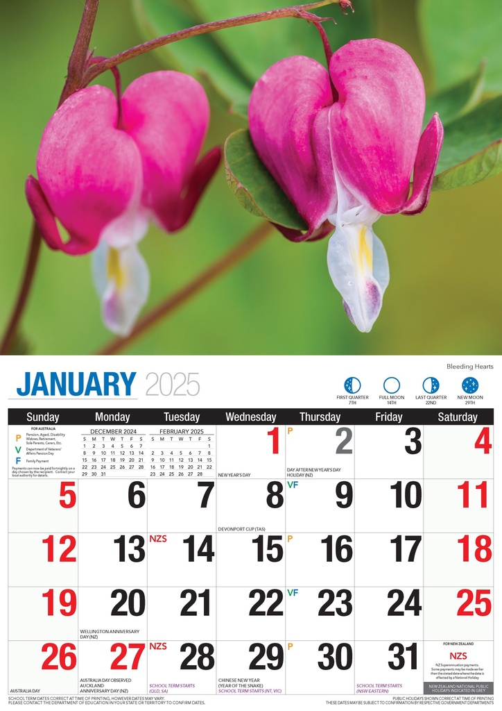 Big Print Beautiful Flowers 2025 Calendar
