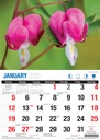 Big Print Beautiful Flowers 2025 Calendar
