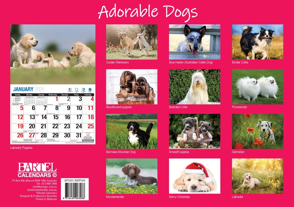 Big Print Adorable Dogs 2025 Calendar