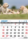 Big Print Adorable Dogs 2025 Calendar