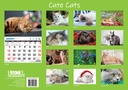 Big Print Cute Cats 2025 Calendar