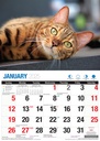 Big Print Cute Cats 2025 Calendar