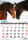 Big Print Best Friends 2025 Calendar