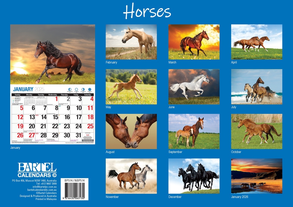 Big Print Horses 2025 Calendar