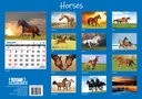 Big Print Horses 2025 Calendar