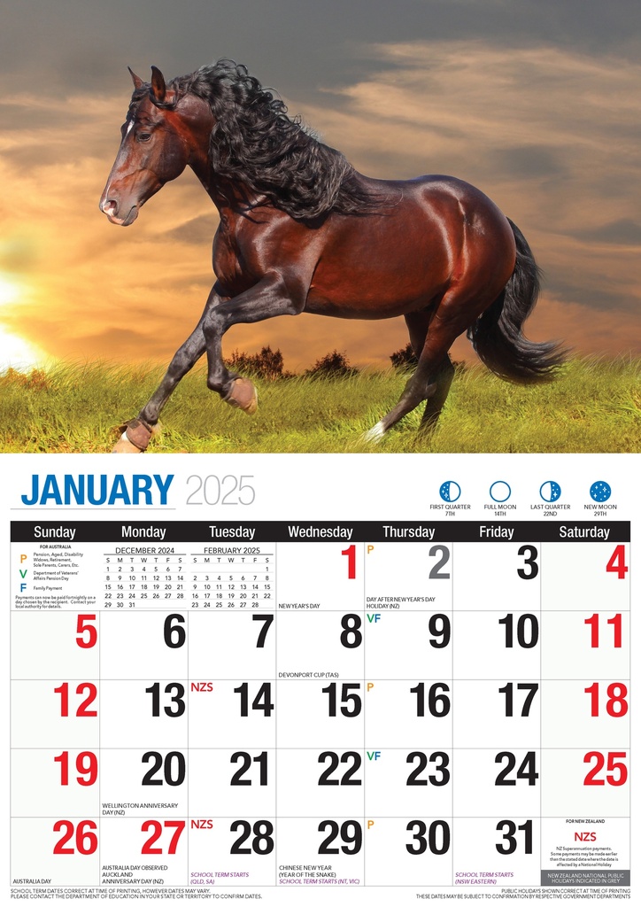 Big Print Horses 2025 Calendar