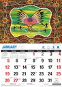 Big Print Dreamtime 2025 Calendar