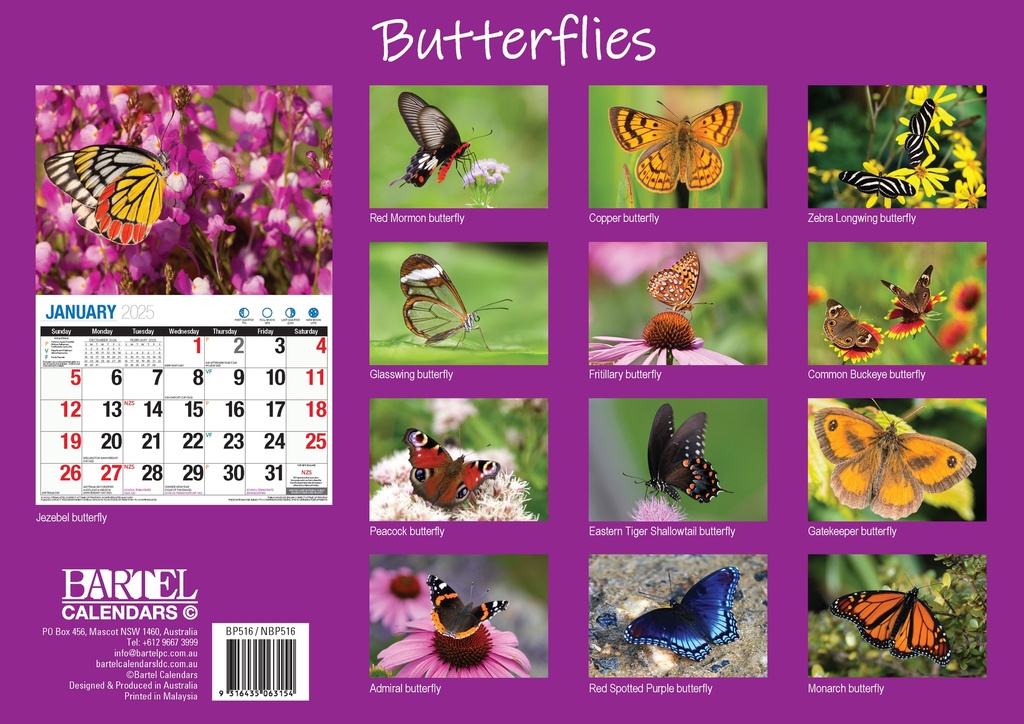 Big Print Butterflies 2025 Calendar