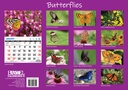 Big Print Butterflies 2025 Calendar