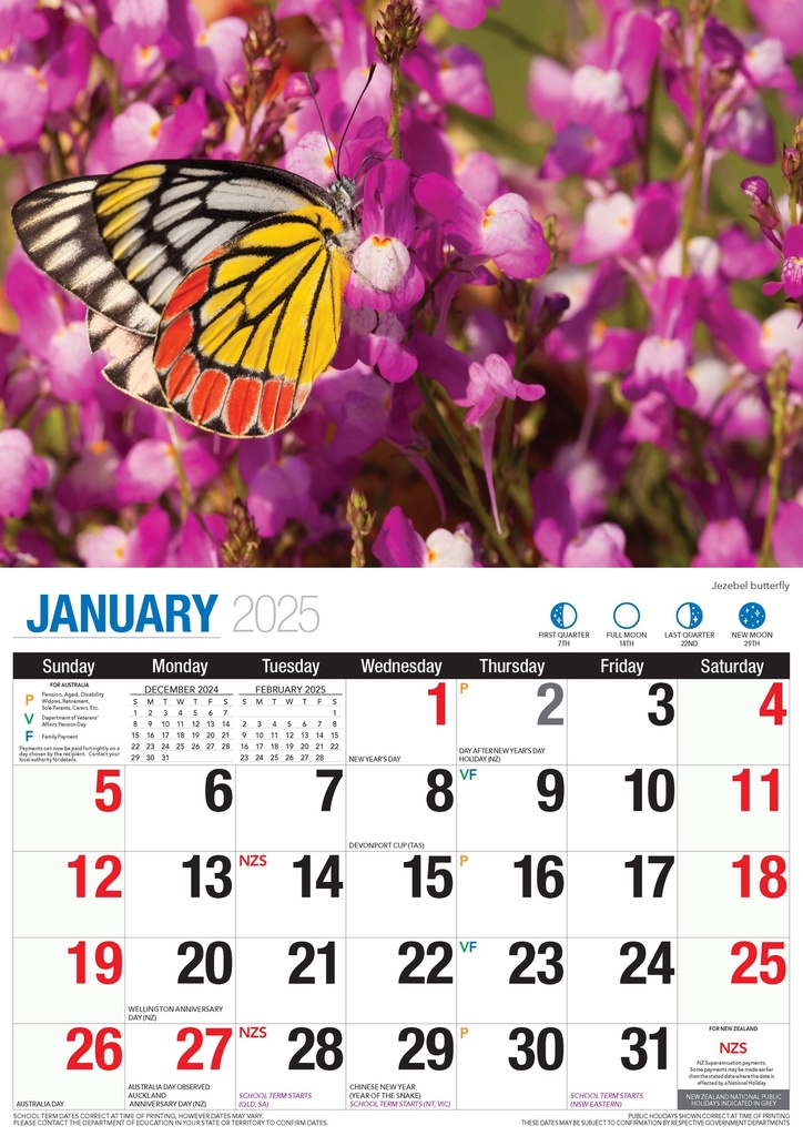Big Print Butterflies 2025 Calendar