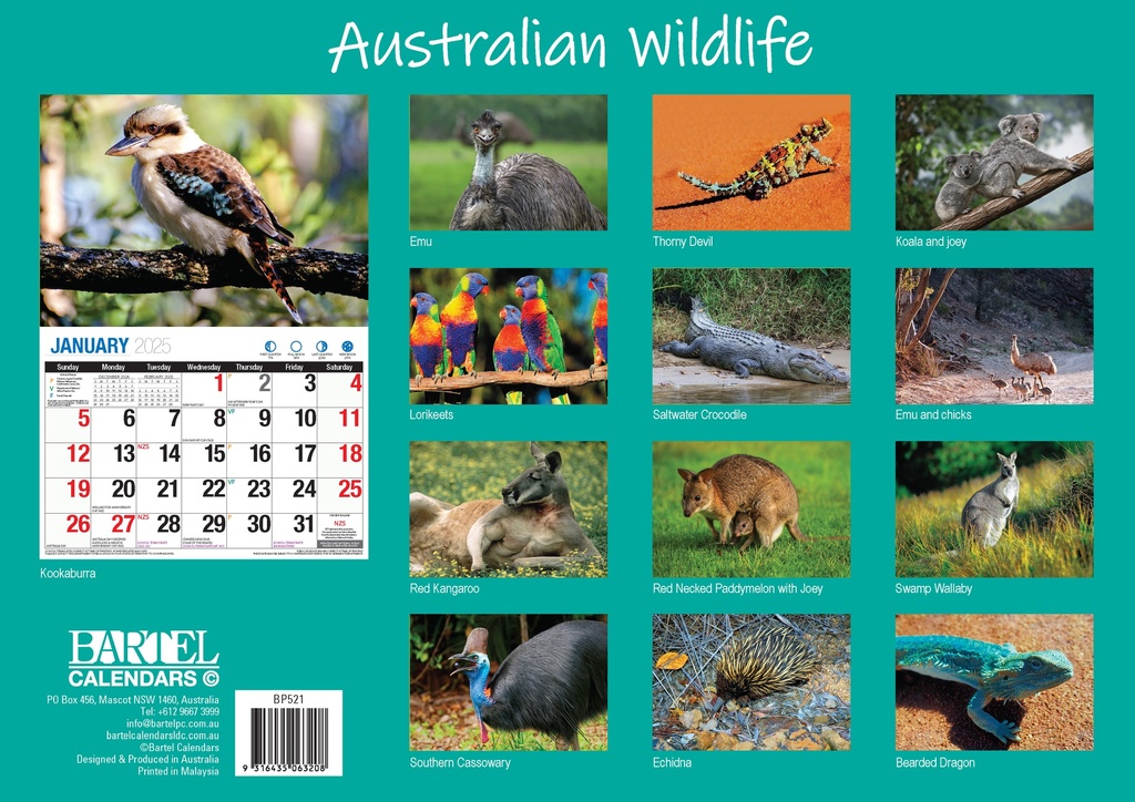 Big Print Australian Wildlife 2025 Calendar