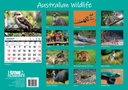 Big Print Australian Wildlife 2025 Calendar