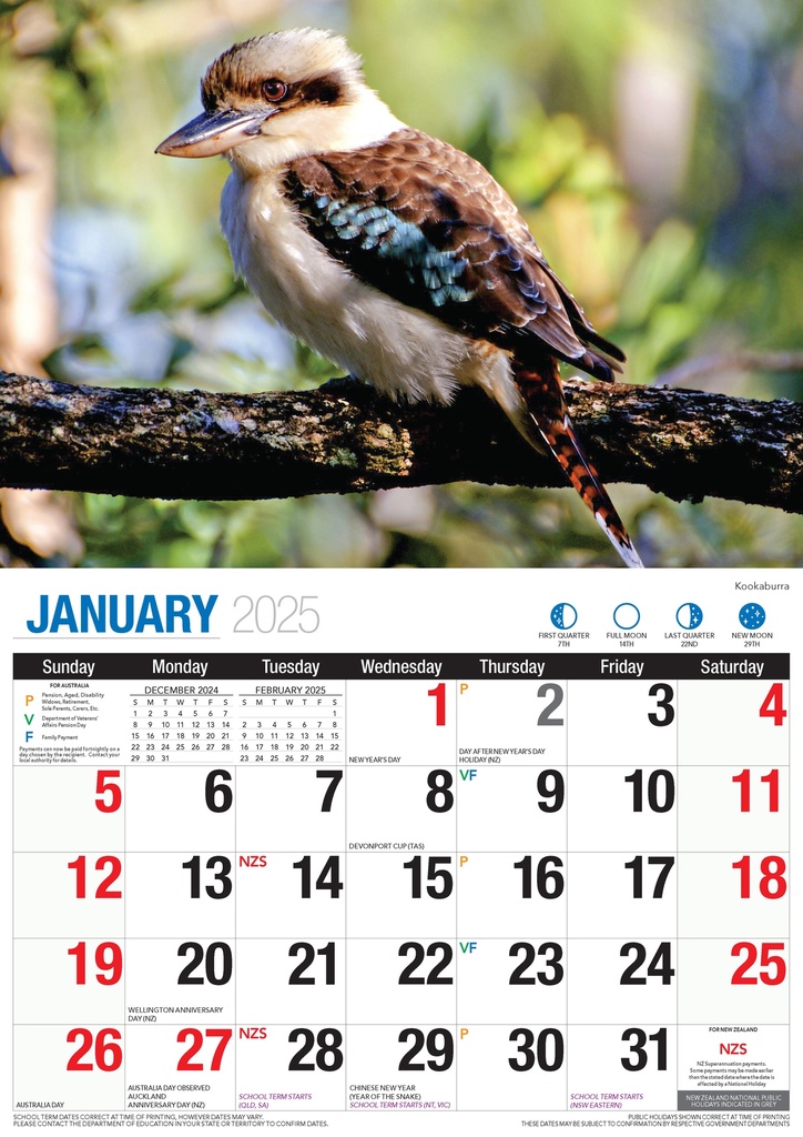 Big Print Australian Wildlife 2025 Calendar