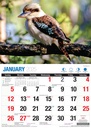 Big Print Australian Wildlife 2025 Calendar