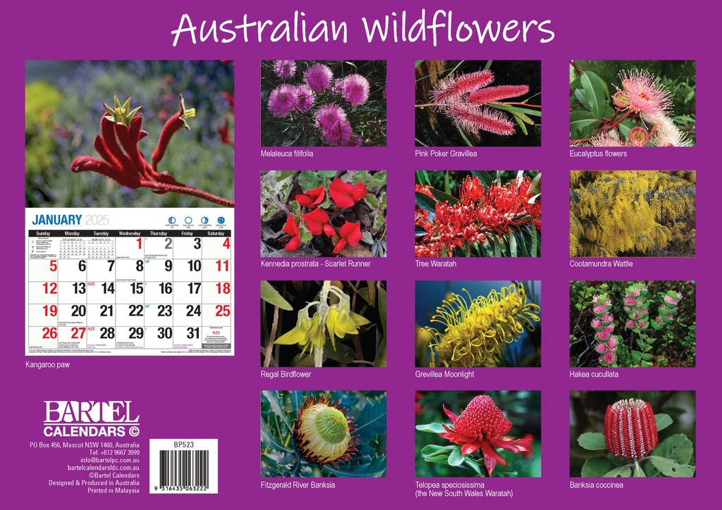 Big Print Australian Wildflowers 2025 Calendar