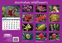 Big Print Australian Wildflowers 2025 Calendar
