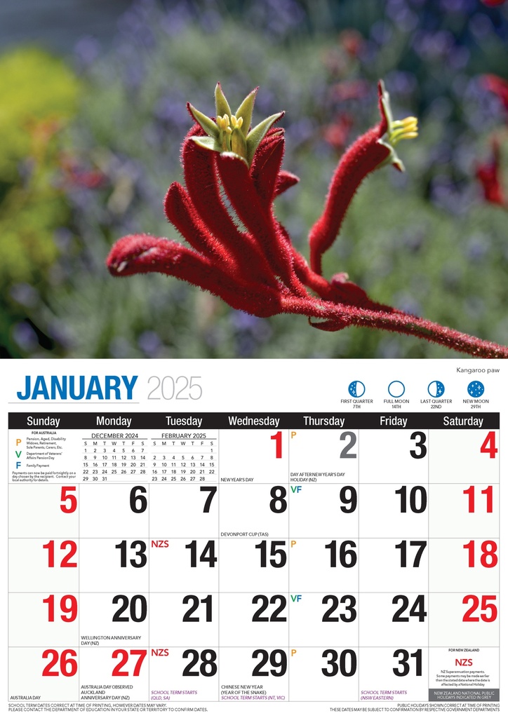 Big Print Australian Wildflowers 2025 Calendar