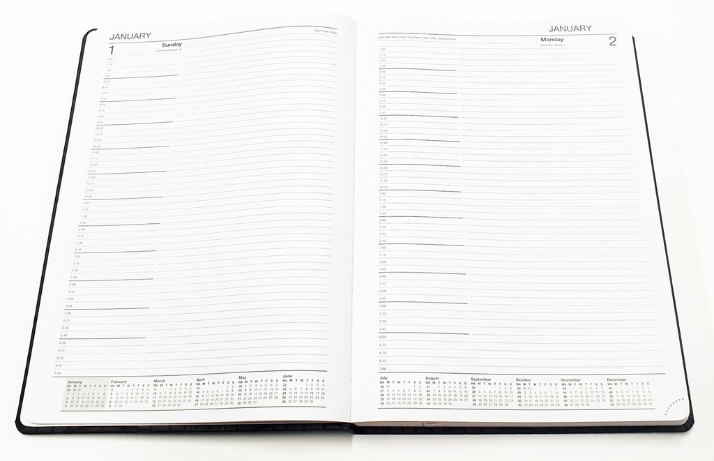 2025 A4 DTP Diary - Croc Case Bound Blue