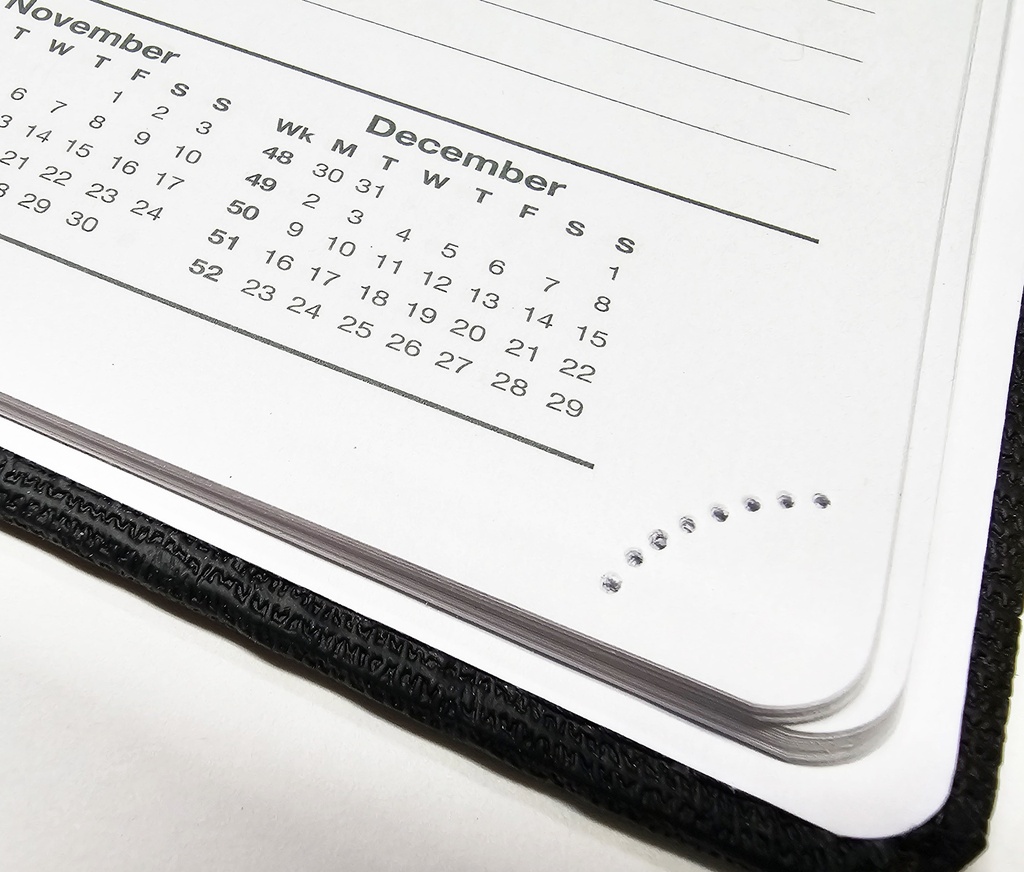 2025 A5 DTP Diary - Croc Casebound Black