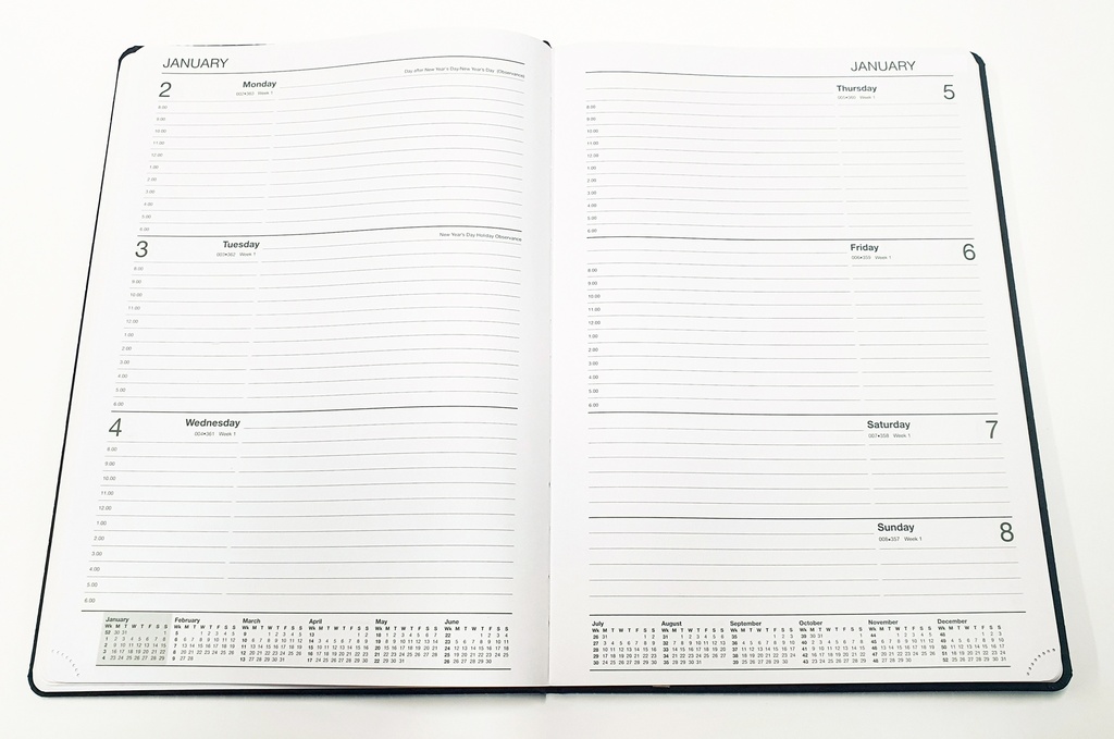 2025 A4 WTV Diary - Croc Casebound Black