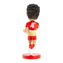 NRL Dolphins Herbie Farnworth Bobblehead