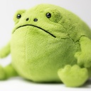 Ricky Rain Frog Medium - Jellycat