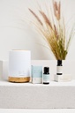 Nurture Essential Oil - Palm Beach Collection