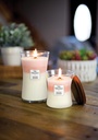 Woodwick Candle TRILOGY Island Getaway Medium