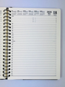 2026 Diary A4 Day-To-A-Page (DTP) Spiral Gumleaf - Ozcorp
