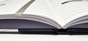 2026 Diary A5 Week-To-View (WTV) Big Print Case Bound - The Last Diary Company