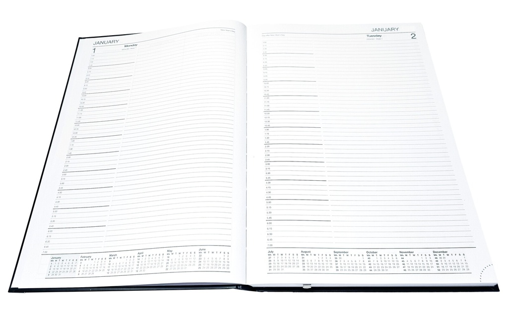 2026 Diary A4 Day-To-A-Page (DTP) Everyday Bound Burnt Orange - The Last Diary Company
