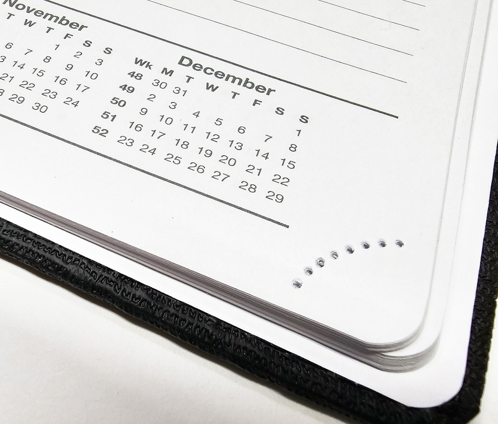 2026 Diary A5 Day-To-A-Page (DTP) Croc Bound Black - The Last Diary Company