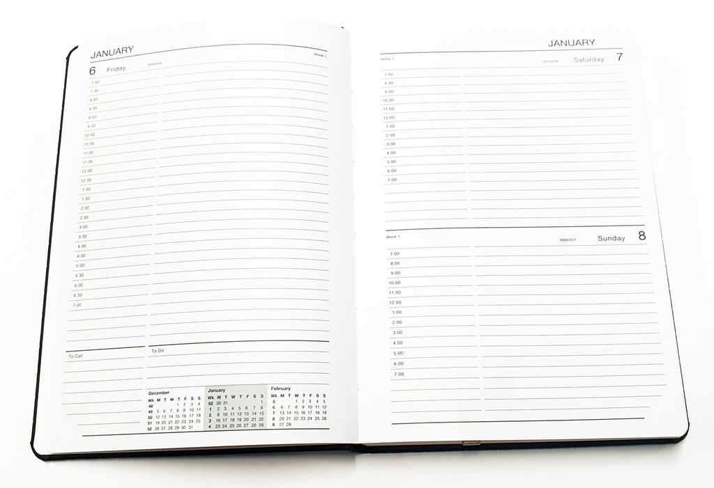 2026 Diary A5 Day-To-A-Page (DTP) Croc Bound Burgundy - The Last Diary Company