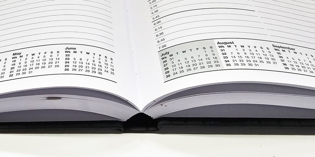 2026 Diary A5 Day-To-A-Page (DTP) Croc Bound Green - The Last Diary Company