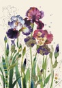 Bug Art - A5 Floral Notebook (Mixed Irises design)