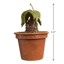 Harry Potter: Mandrake with Sound and Light - 2025 Hallmark Keepsake Christmas Ornament