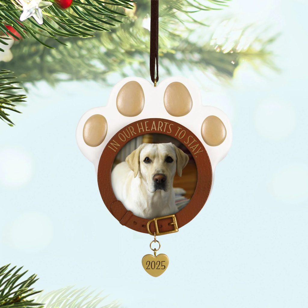 In Our Hearts to Stay Pet Photo Holder - 2025 Hallmark Keepsake Christmas Ornament