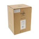 Willow Tree by Susan Lordi - Angel of Hope (Each Day, Hope Anew)