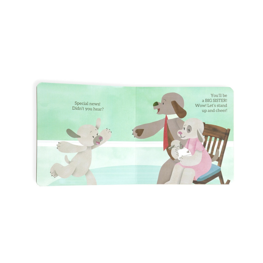 Demdaco - You're Going To Be A Big Sister! Book