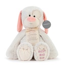 Demdaco - Best Big Sister Dog 16" Plush