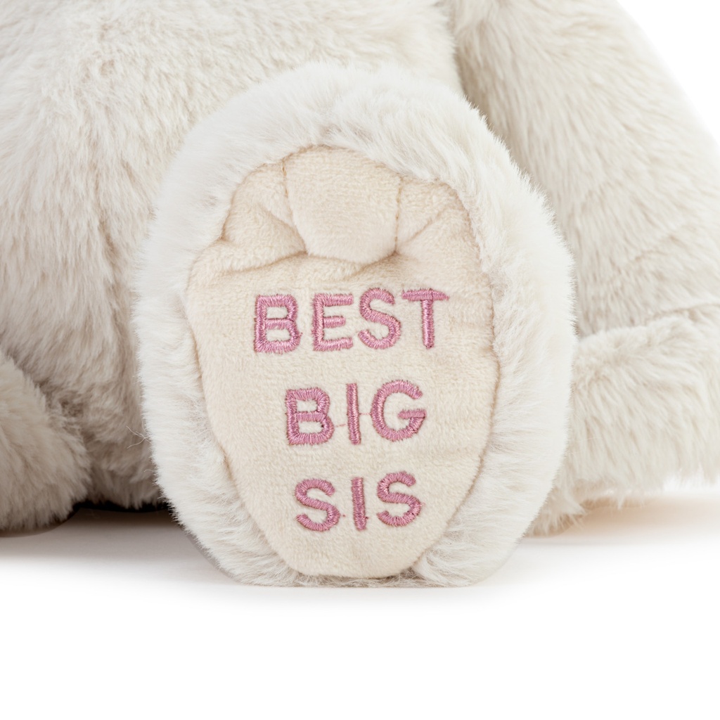 Demdaco - Best Big Sister Dog 16" Plush
