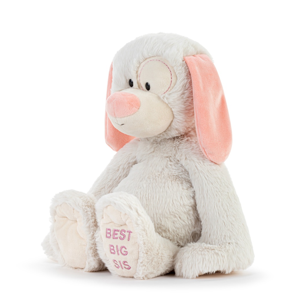 Demdaco - Best Big Sister Dog 16" Plush