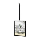 Winnie The Pooh - Friend Like You Suncatcher