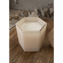 Beeutiful Bees Soy Candle - Honey Kisses (Oatmilk & Honey) 