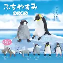Penguins Resting On The Edge Blind Box