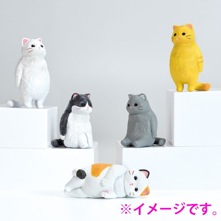 Blank Stare Cats Blind Box