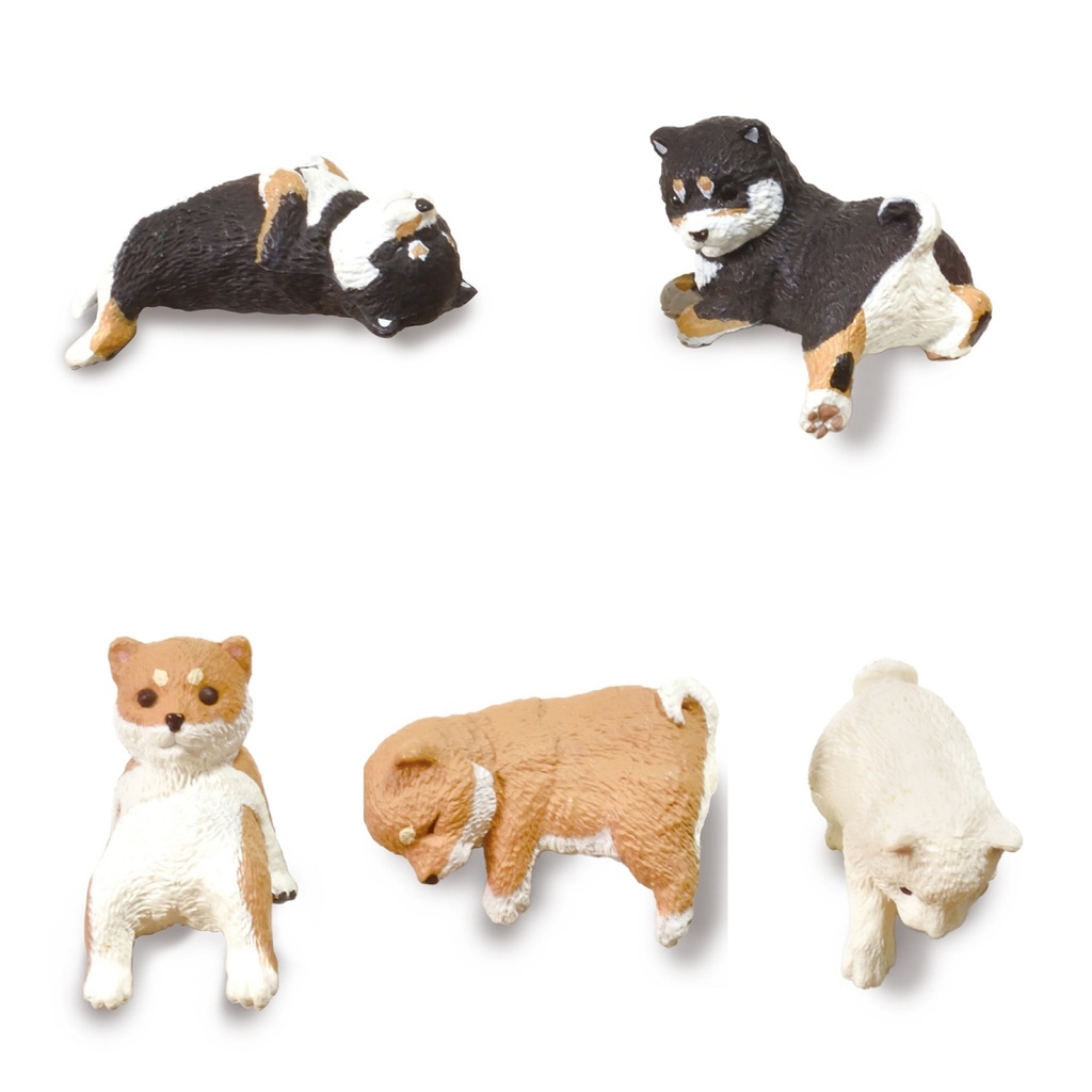 Yell Japan: Shiba Inu Resting on the Edge Blind Box