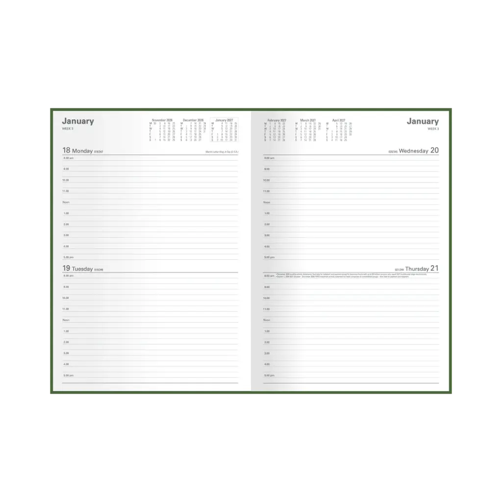 2026-2027 Financial Year Diary A4 2 Days-To-A-Page (2DTP) Black - Collins Debden